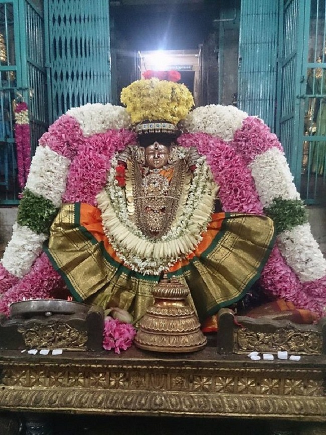 Thiruvahindrapuram Sri Hemabujavalli Thayar Aadi Vellikizhamai Purappadu3
