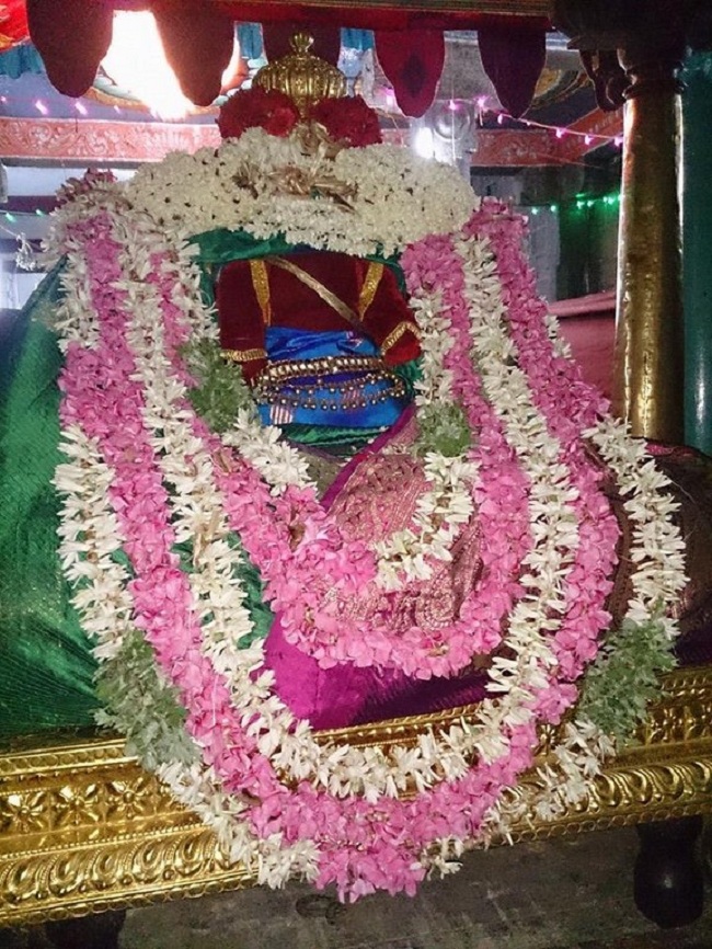 Thiruvahindrapuram Sri Periyazhwar Thirunakshatram And Swami Desikan Vasanthotsavam7