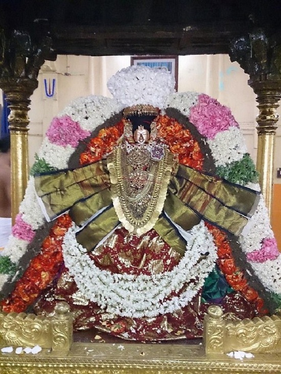 Thiruvahindrapuram Swami Desikan Jyestabhishekam And Vasanthotsavam Satrumurai3