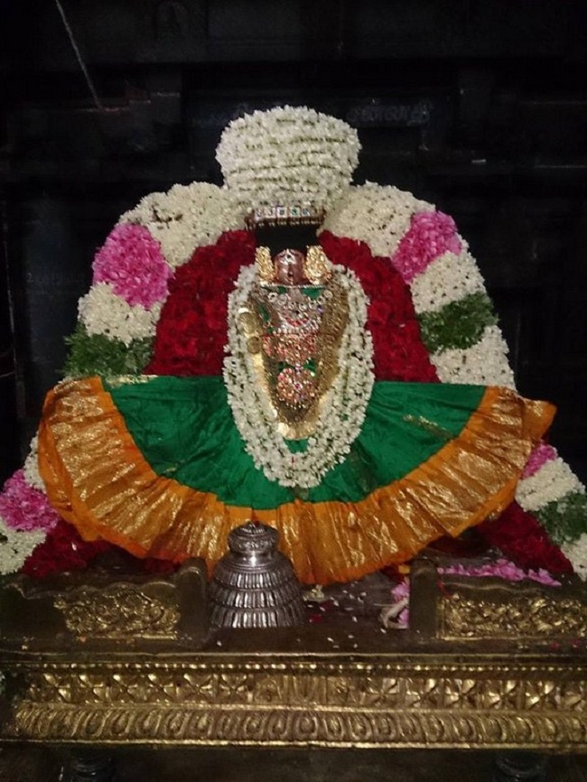 Thiruvahindrapuram Thiruvadipooram Utsavam1