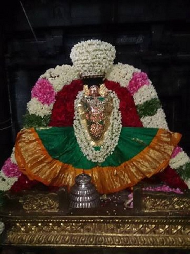 Thiruvahindrapuram Thiruvadipooram Utsavam2