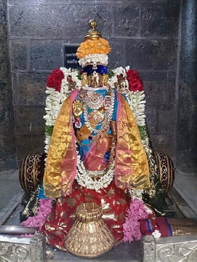 Thiruvahindrapuram Thiruvadipooram Utsavam4