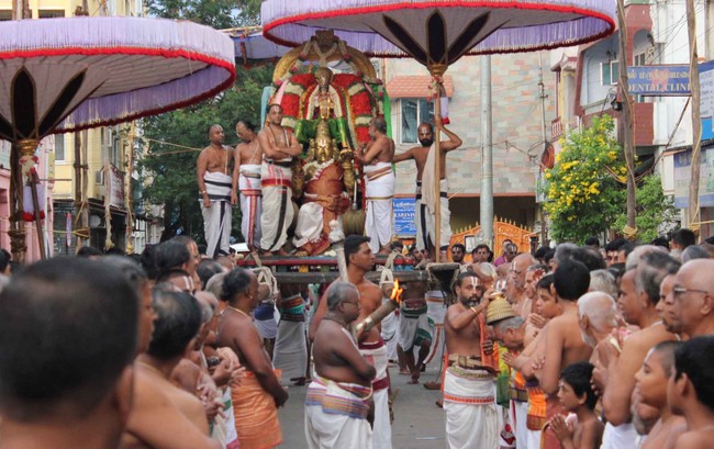 Thiruvallikeni Thelliasingar Brahmotsavam day 3 2014 3