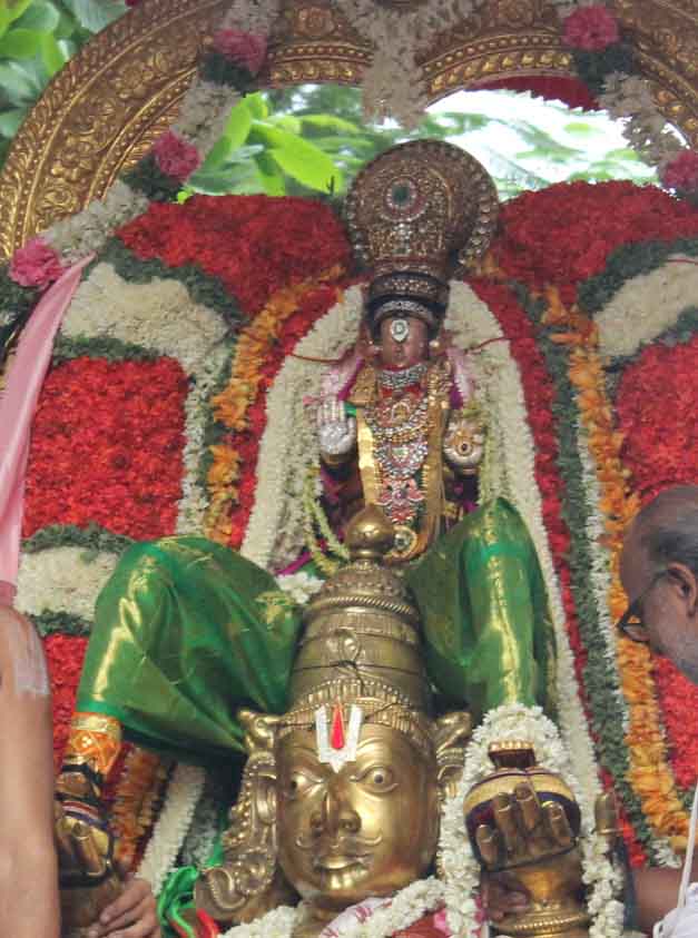 Thiruvallikeni Thelliasingar Brahmotsavam day 3 2014 5