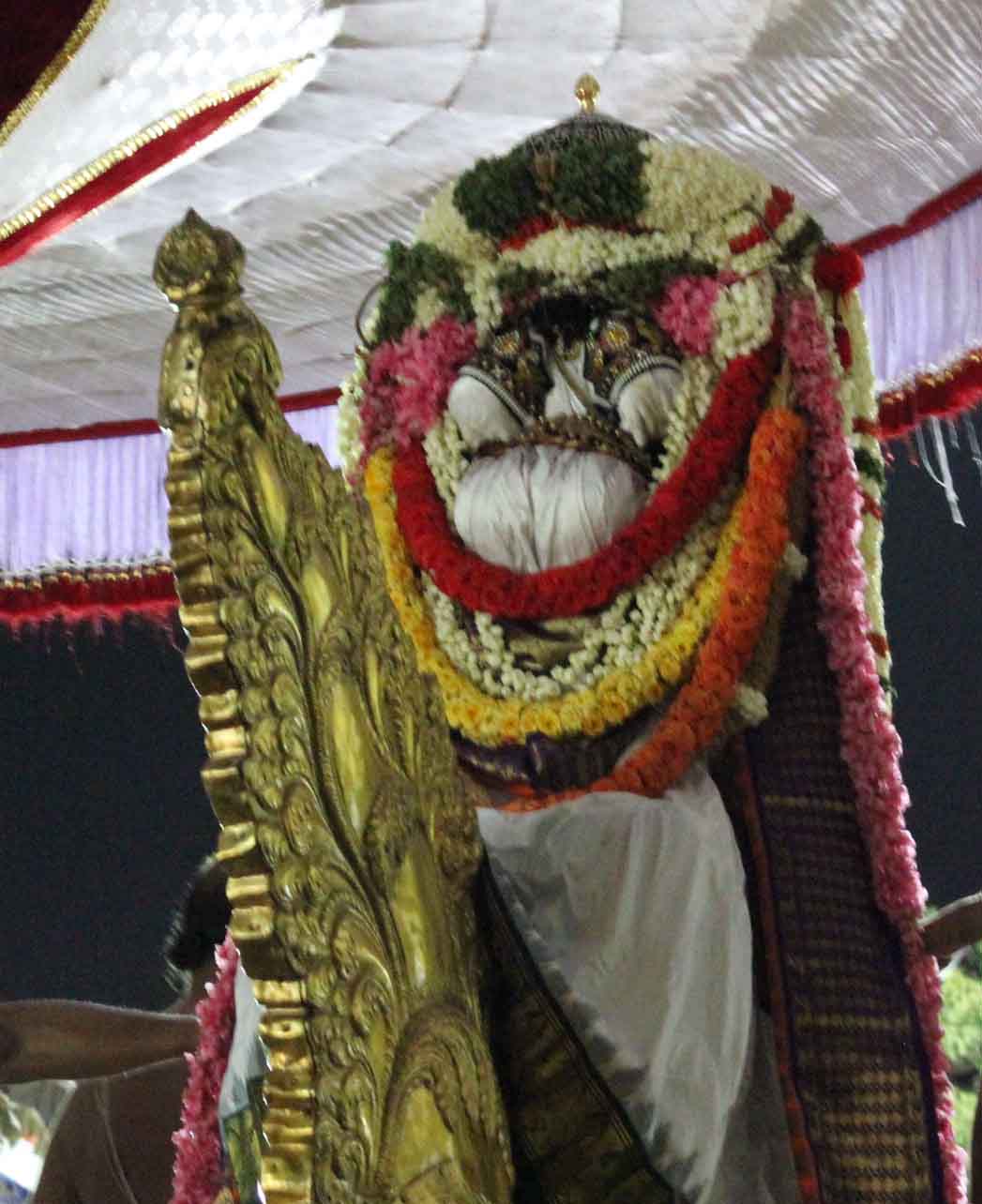 Thiruvallikeni Thelliasingar Brahmotsavam day 3 Hamsa Vahanam 2014 4