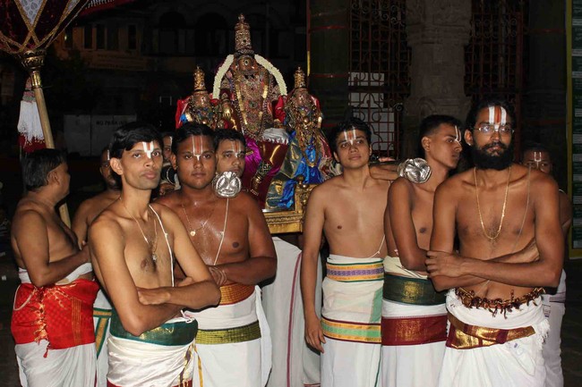Thiruvallikeni Thelliyasinga perumal Brahmotsavam sesha vahanam 2014 01