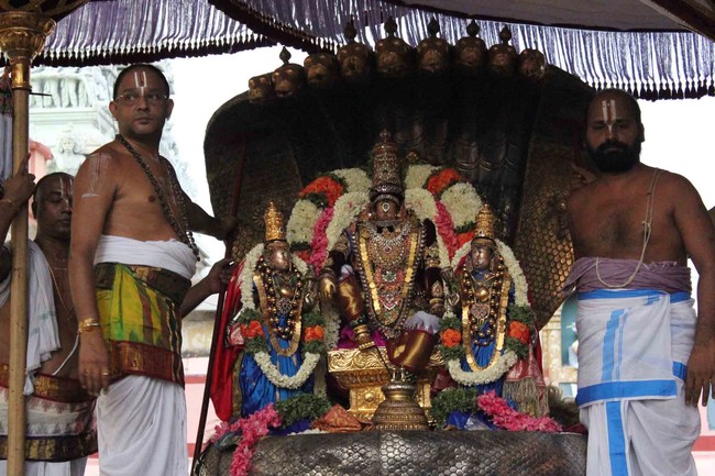 Thiruvallikeni Thelliyasinga perumal Brahmotsavam sesha vahanam 2014 03