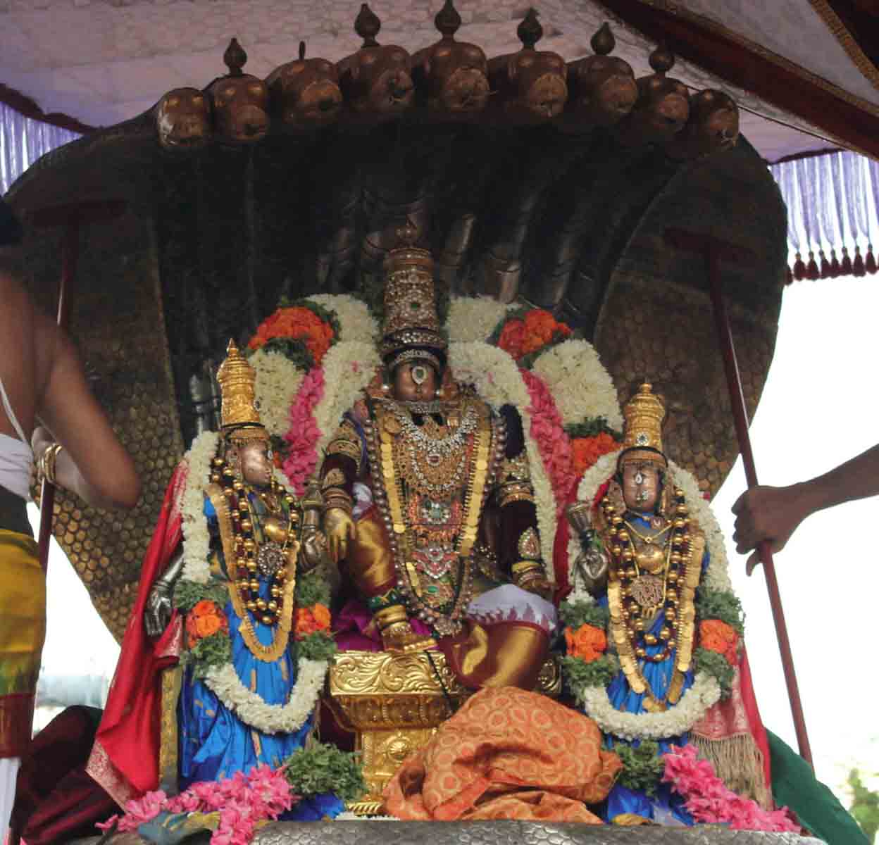 Thiruvallikeni Thelliyasinga perumal Brahmotsavam sesha vahanam 2014 07