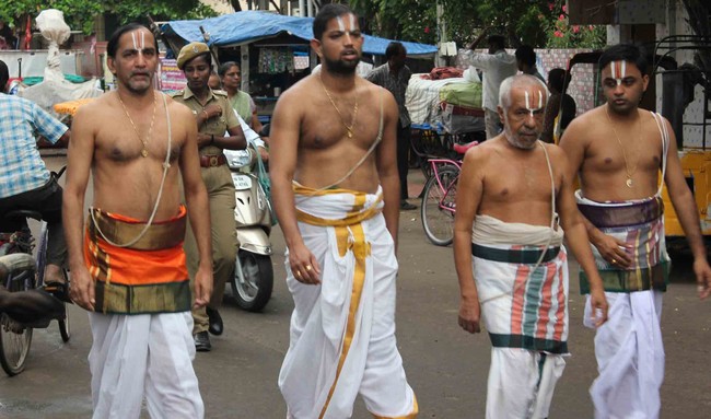 Thiruvallikeni Thelliyasinga perumal Brahmotsavam sesha vahanam 2014 09