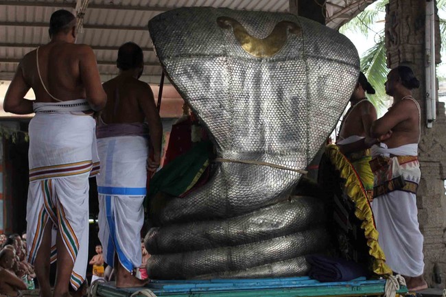 Thiruvallikeni Thelliyasinga perumal Brahmotsavam sesha vahanam 2014 10