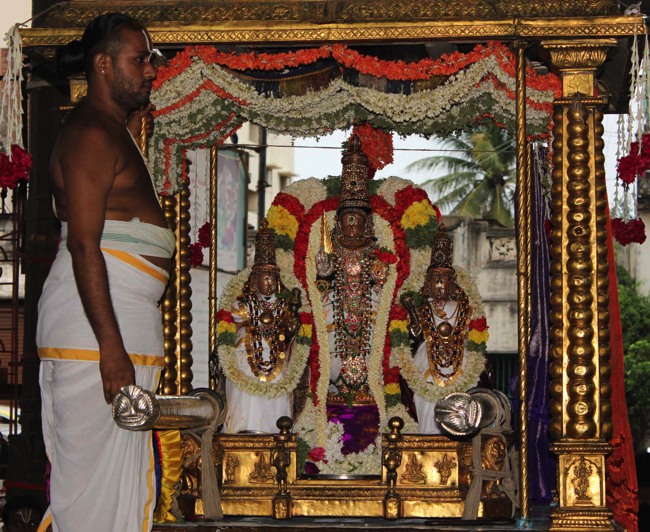 Thiruvallikeni Thelliyasingar Perumal brahmotsavam CHoornabhishekam 2014--01