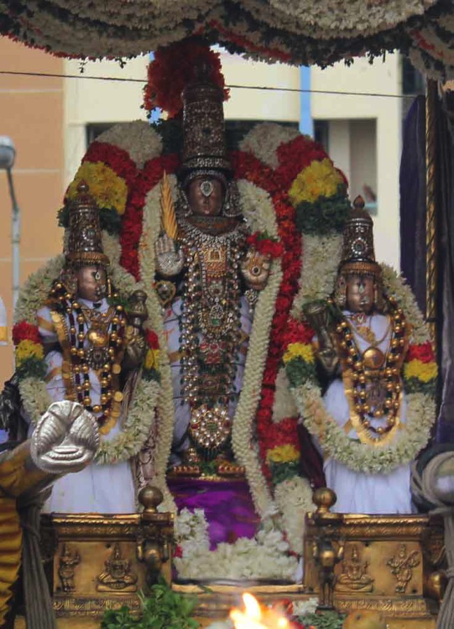 Thiruvallikeni Thelliyasingar Perumal brahmotsavam CHoornabhishekam 2014--05