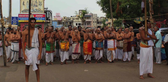 Thiruvallikeni Thelliyasingar Perumal brahmotsavam CHoornabhishekam 2014--07