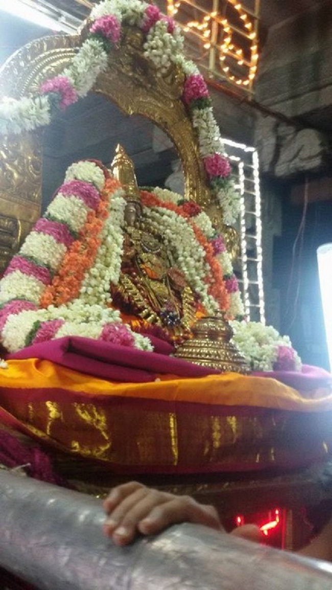 Thiruvallur Sri Kanakavalli Thayar VelliKizhamai Purappadu10