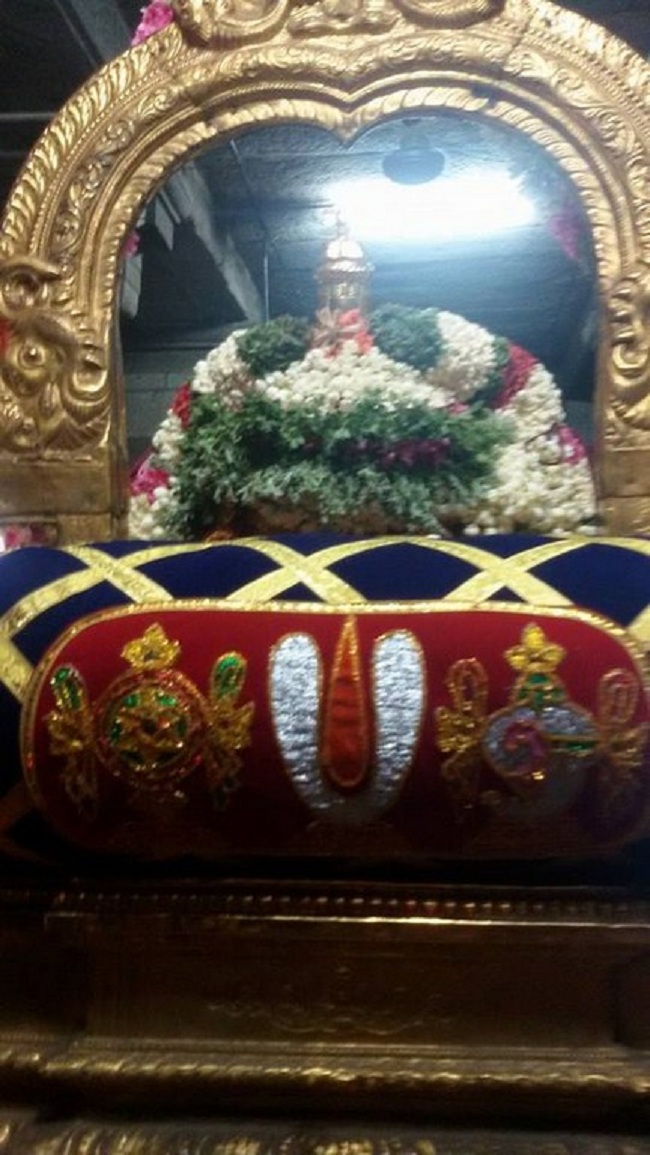 Thiruvallur Sri Kanakavalli Thayar VelliKizhamai Purappadu4