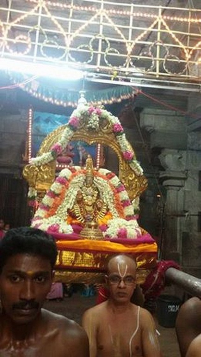 Thiruvallur Sri Kanakavalli Thayar VelliKizhamai Purappadu6