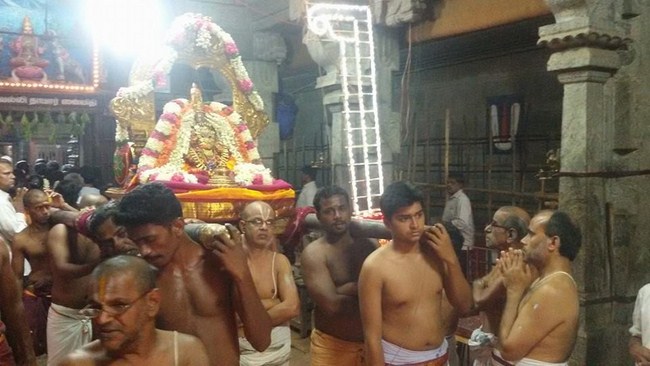 Thiruvallur Sri Kanakavalli Thayar VelliKizhamai Purappadu7