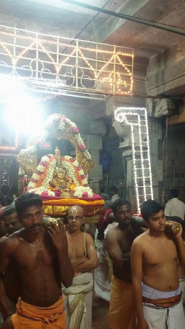 Thiruvallur Sri Kanakavalli Thayar VelliKizhamai Purappadu8