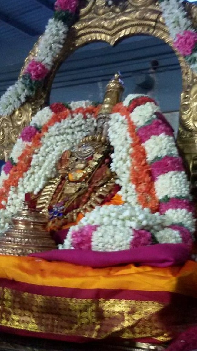 Thiruvallur Sri Kanakavalli Thayar VelliKizhamai Purappadu9