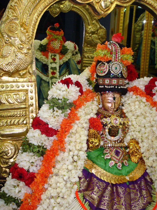 Thiruvelukkai  Sri Amirthavalli Thayar Aani kadasi Vellikizhamai Purappadu 2014 01