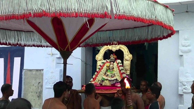 Thiruvelukkai  Sri Amirthavalli Thayar Aani kadasi Vellikizhamai Purappadu 2014 02
