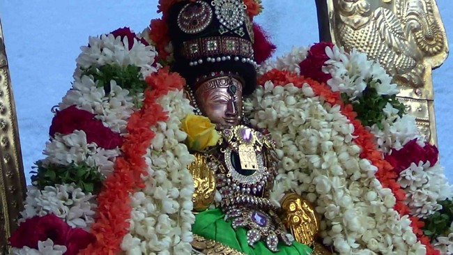 Thiruvelukkai  Sri Amirthavalli Thayar Aani kadasi Vellikizhamai Purappadu 2014 04