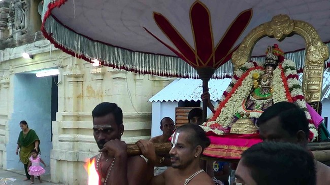 Thiruvelukkai  Sri Amirthavalli Thayar Aani kadasi Vellikizhamai Purappadu 2014 06