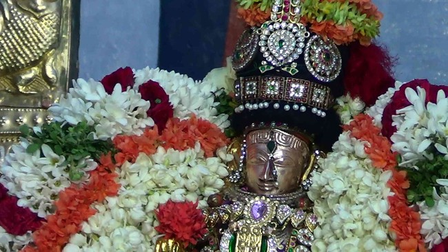 Thiruvelukkai  Sri Amirthavalli Thayar Aani kadasi Vellikizhamai Purappadu 2014 11