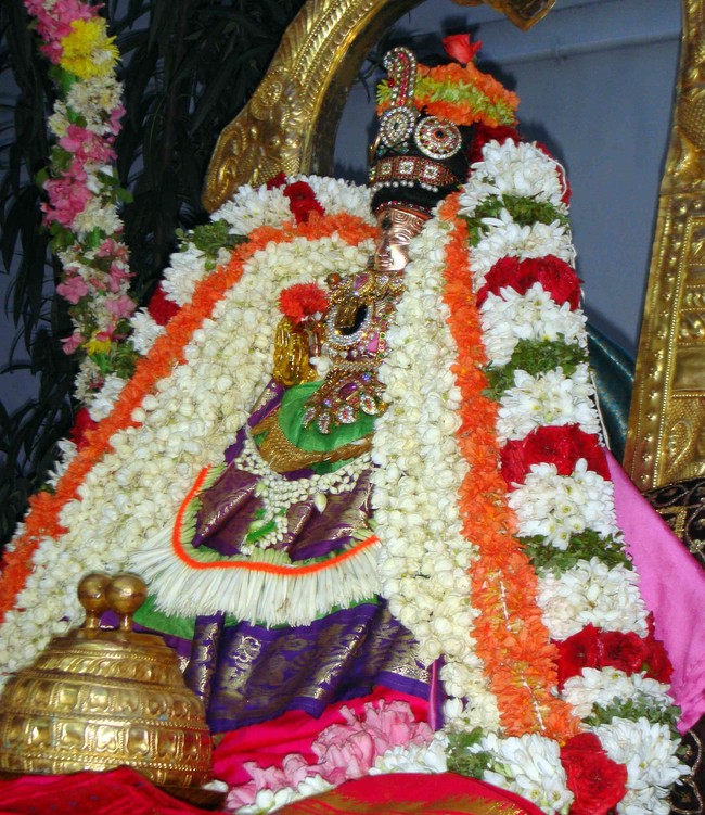 Thiruvelukkai  Sri Amirthavalli Thayar Aani kadasi Vellikizhamai Purappadu 2014 12