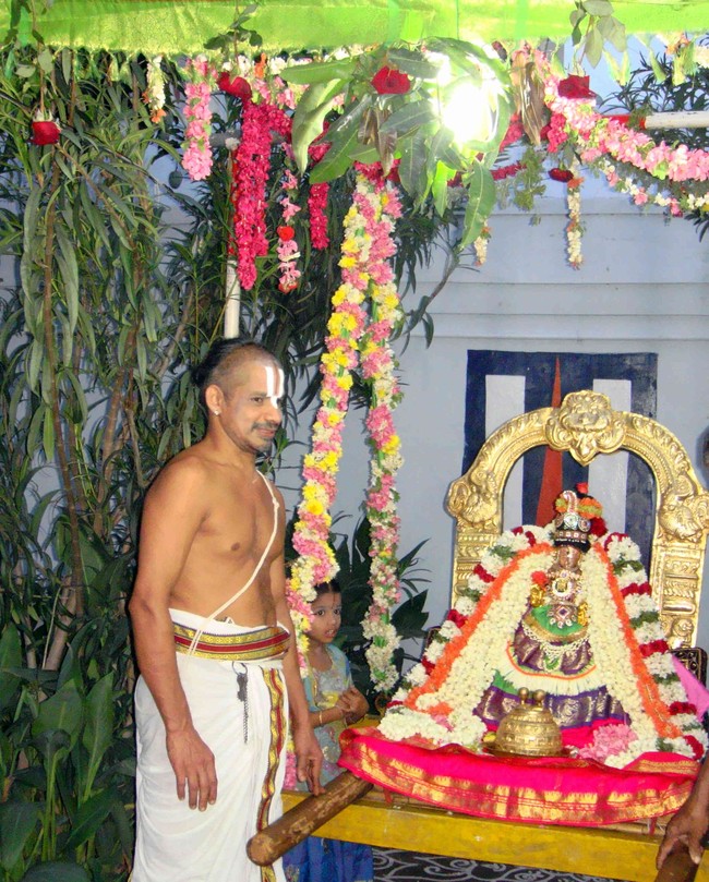 Thiruvelukkai  Sri Amirthavalli Thayar Aani kadasi Vellikizhamai Purappadu 2014 15
