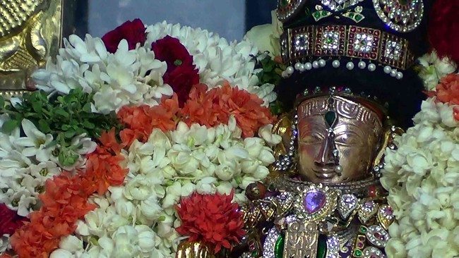 Thiruvelukkai  Sri Amirthavalli Thayar Aani kadasi Vellikizhamai Purappadu 2014 17