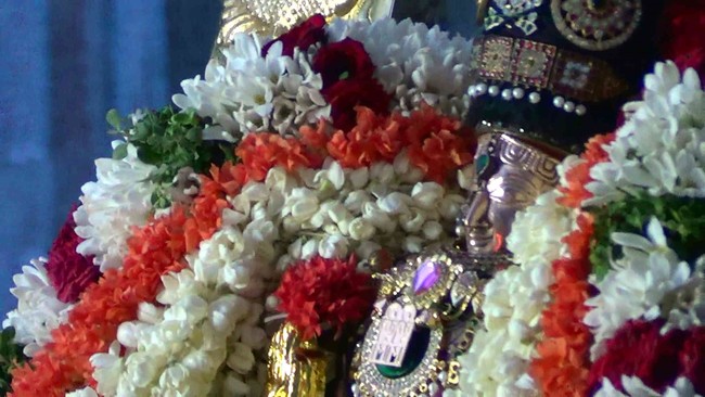 Thiruvelukkai  Sri Amirthavalli Thayar Aani kadasi Vellikizhamai Purappadu 2014 18