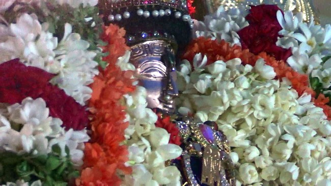 Thiruvelukkai  Sri Amirthavalli Thayar Aani kadasi Vellikizhamai Purappadu 2014 20