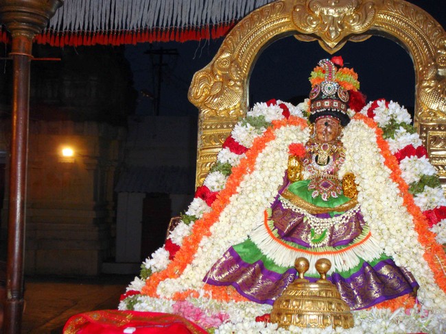 Thiruvelukkai  Sri Amirthavalli Thayar Aani kadasi Vellikizhamai Purappadu 2014 22