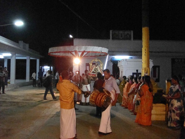 Thiruvelukkai  Sri Amirthavalli Thayar Aani kadasi Vellikizhamai Purappadu 2014 26