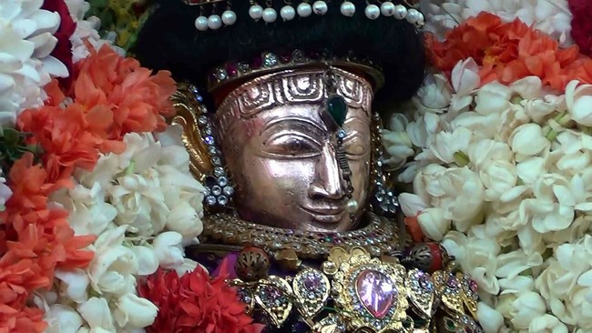 Thiruvelukkai  Sri Amirthavalli Thayar Aani kadasi Vellikizhamai Purappadu 2014 30