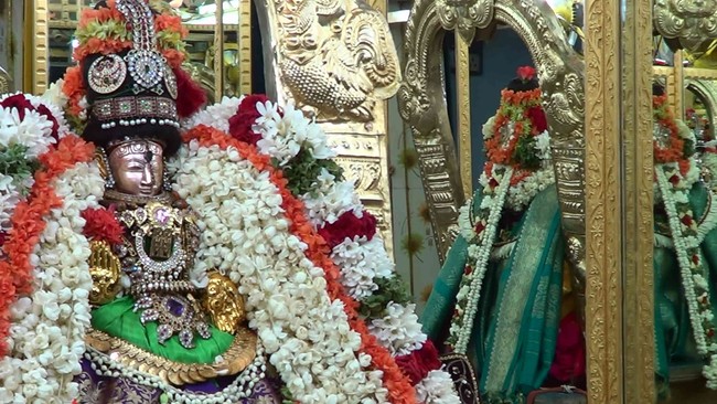 Thiruvelukkai  Sri Amirthavalli Thayar Aani kadasi Vellikizhamai Purappadu 2014 31