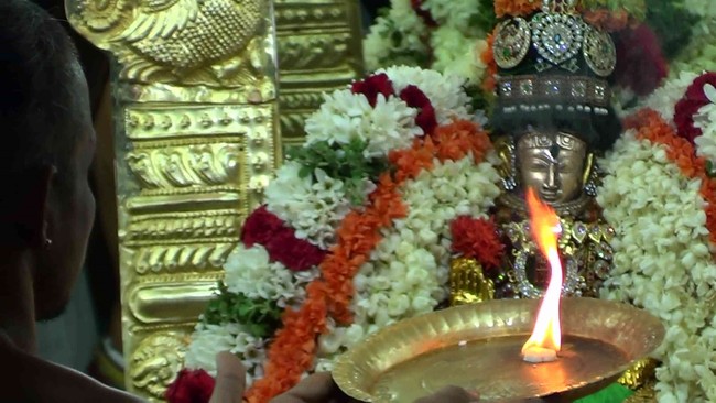 Thiruvelukkai  Sri Amirthavalli Thayar Aani kadasi Vellikizhamai Purappadu 2014 34