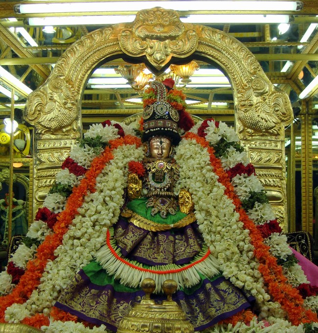 Thiruvelukkai  Sri Amirthavalli Thayar Aani kadasi Vellikizhamai Purappadu 2014 37