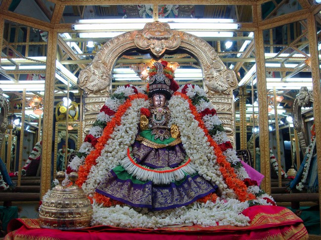 Thiruvelukkai  Sri Amirthavalli Thayar Aani kadasi Vellikizhamai Purappadu 2014 38