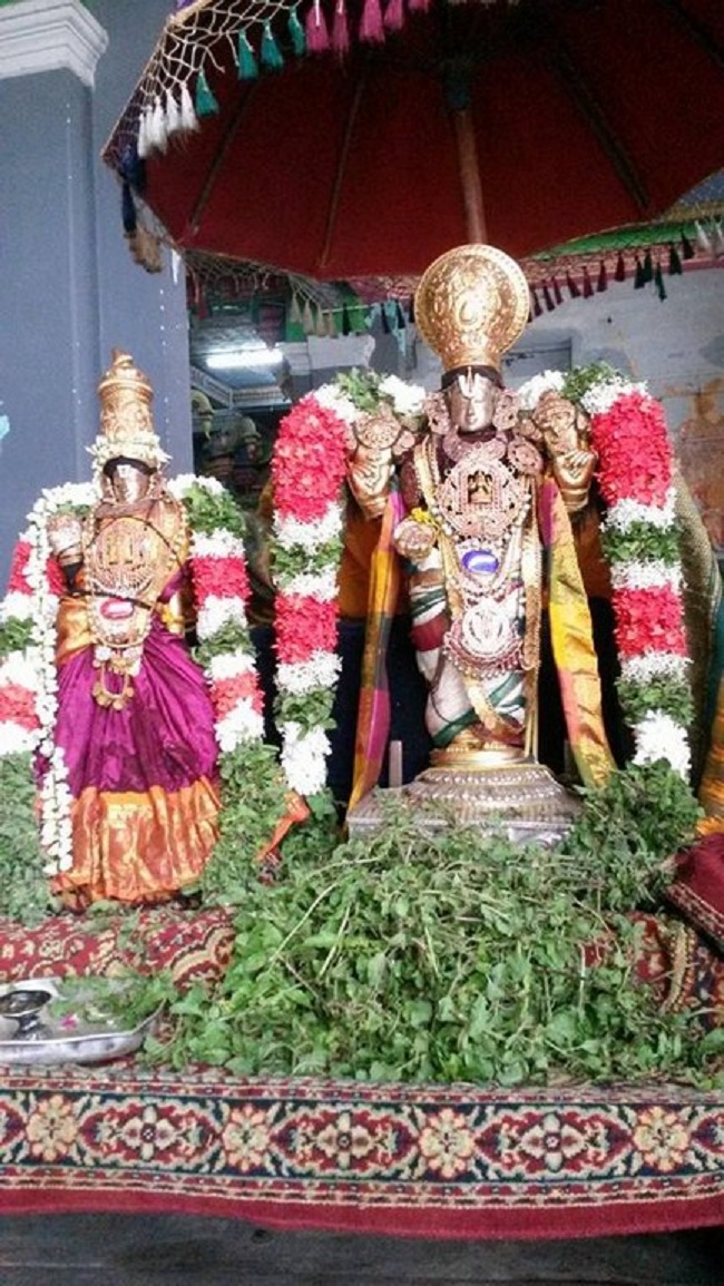 Thiruvinnagar Sri Oppilliappan Venkatachalapathi Temple Aani Sravana Purappadu3