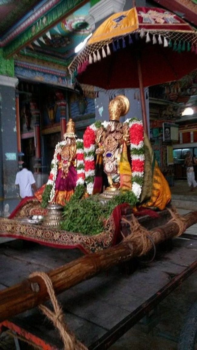Thiruvinnagar Sri Oppilliappan Venkatachalapathi Temple Aani Sravana Purappadu6
