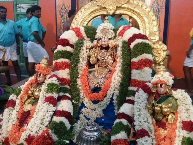 Tirupathi Sri Govindaraja Swamy Temple Aani Pooram Uthsavam3