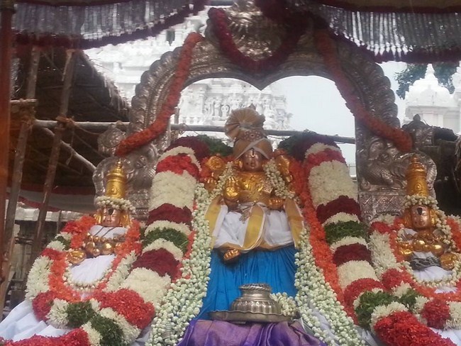 Tirupathi Sri Govindaraja Swamy Temple Jyeshtabhishekam Concludes2