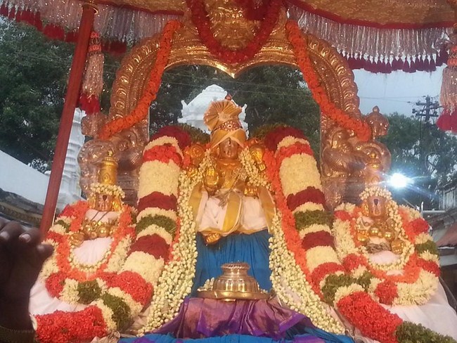Tirupathi Sri Govindaraja Swamy Temple Jyeshtabhishekam Concludes3