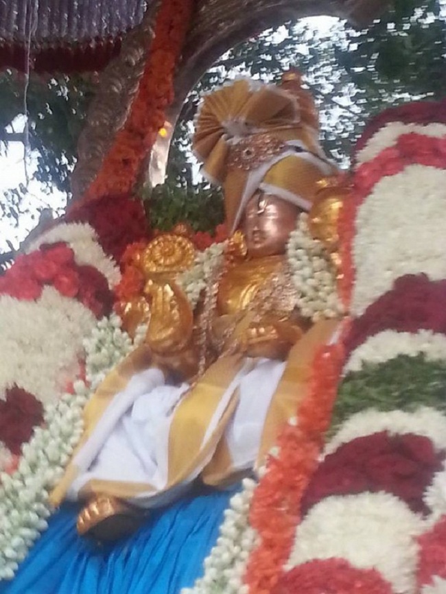 Tirupathi Sri Govindaraja Swamy Temple Jyeshtabhishekam Concludes6