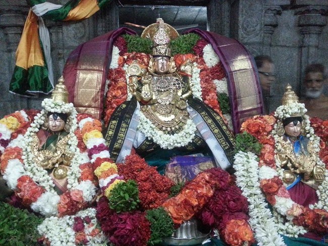 Tirupathi Sri Govindaraja Swamy Temple Periyazhwar Thirunakshatra Uthsavam2