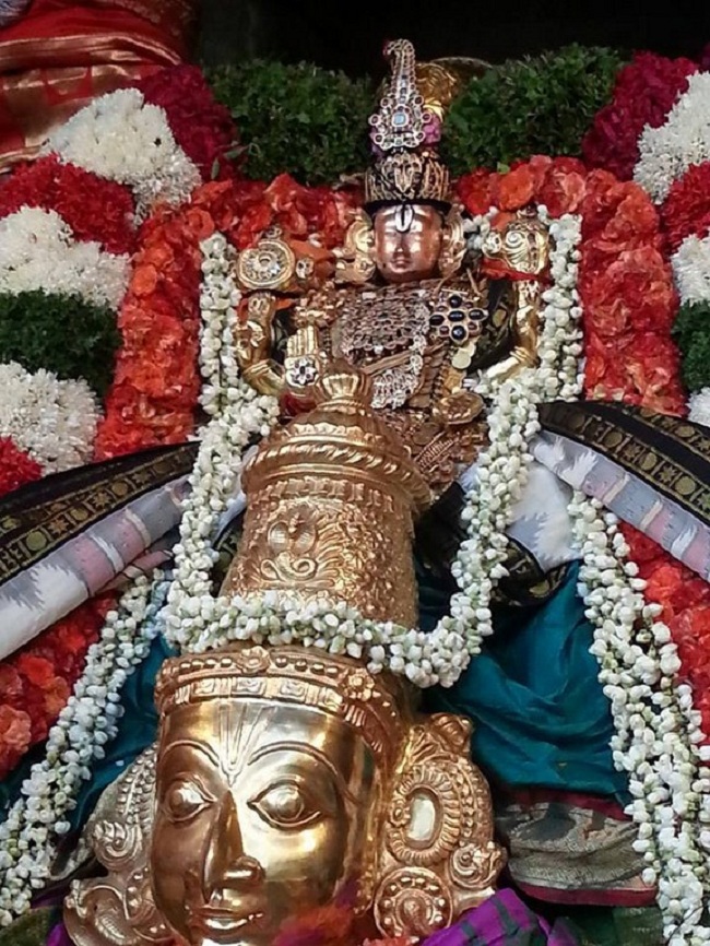 Tirupathi Sri Govindaraja Swamy Temple Periyazhwar Thirunakshatra Uthsavam4