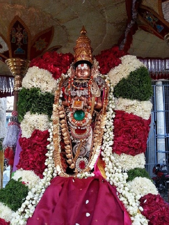 Tirupathi Sri Govindaraja Swamy Temple Periyazhwar Thirunakshatra Uthsavam6