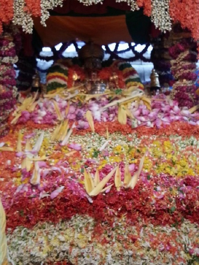 Tirupathi Sri Govindaraja Swamy Temple Pushpa yagam5